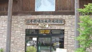 ボート乗り場の前にあります