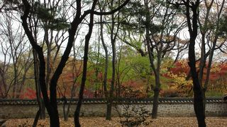 紅葉の時期に行きました