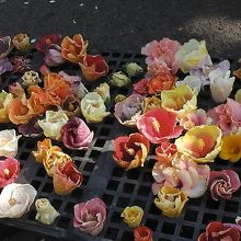 お花も売ってます！