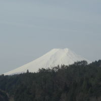 遠方に富士をのぞむ