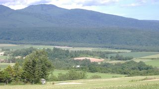 これぞ北海道の景色！