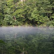 名水の湧き出る幻想的な湧水池