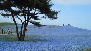 見どころ豊富で一日遊べる