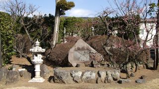 曽我梅林を訪ねた人には是非お勧めのスポット