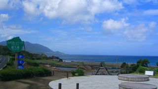 まるいベンチがあり縄文杉です