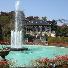 箱根強羅公園 植物園