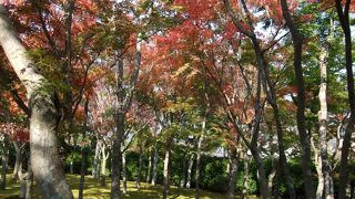 日本の6古窯の名品が一堂に会していまして、圧巻