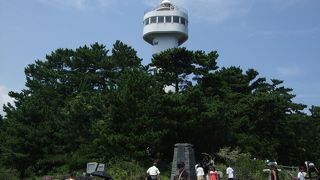 つり橋が一番の人気スポット