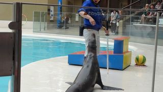 イベントたくさん！バックヤードツアーお勧めです！！