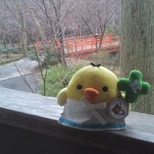 そっとあまやどり