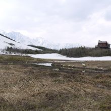 まだまだ雪があります