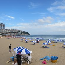 びゅーてぃふぉー