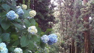 静寂を愉しみに。