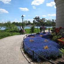 ５月でしたが花壇の花が綺麗でした。