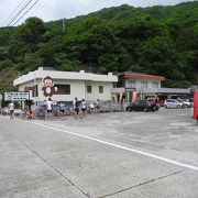 淡路島モンキーセンターは、気が休まります。