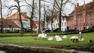 きれいで楽しい運河ツアー