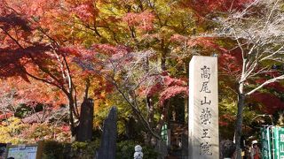 日本一登られている山