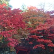 紅葉が綺麗