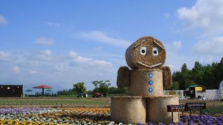 色とりどりの花が咲いている丘でした