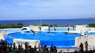 オキちゃん劇場もついでに是非！