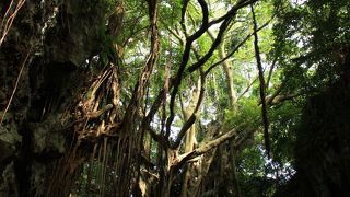 南部の新しい観光スポット