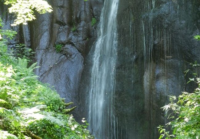 天然の広葉樹林に囲まれた森の奥にある美しい分岐瀑　『有明の滝』