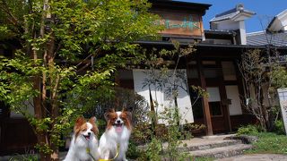 毎年新栗の季節が楽しみ