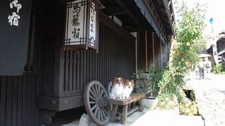 絵になる景色がたくさん