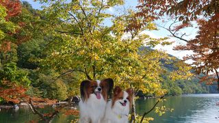 新緑も紅葉もきれい