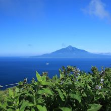 利尻山をのぞんで