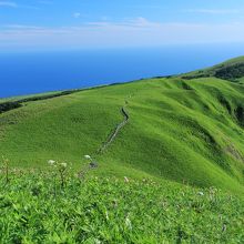 元地灯台へ続く道