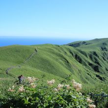 ダイナミックな光景