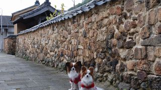 レンガのような