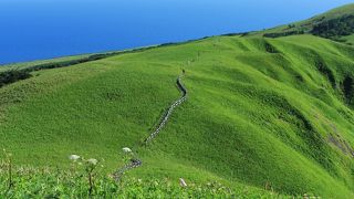 「花の浮島」を実感！
