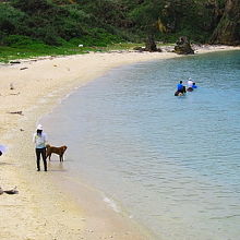 与那国馬もやってくるビーチ