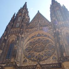 写真に入りきりません