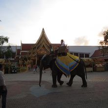 ファンタシーショー会場前の広場で象に乗れる