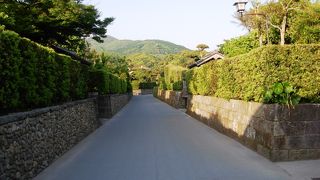 よくぞ生き残った