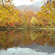 池に写る紅葉が美しい