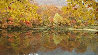 池に写る紅葉が美しい