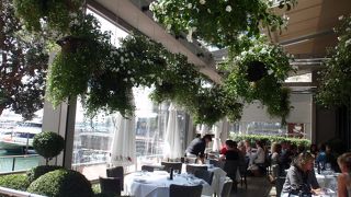 雰囲気よし、味よし、サービスよし、