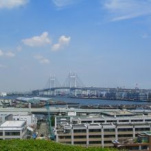展望台から見た風景