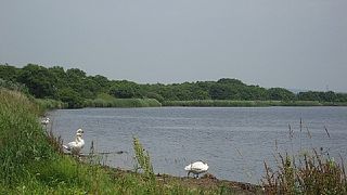 野鳥観察ならここ！