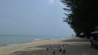 海は期待しないほうがいいです