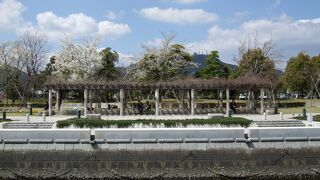 憩いの場所として定着してきたと思います