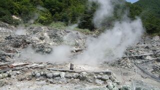 温泉によくある白い土におおわれた一帯