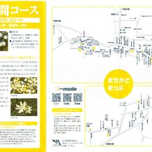 この4時間コースのパンフ