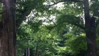 穴場。とても素敵な場所です