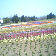 好きな花の季節がオススメ