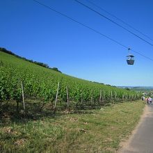 帰り道です。ゴンドラは片道をお勧めします。